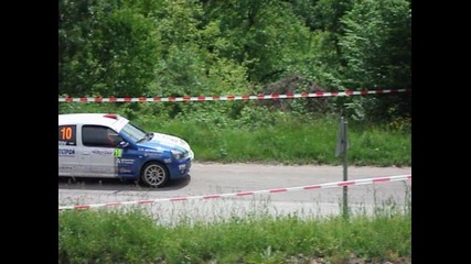 Rally vida 2010