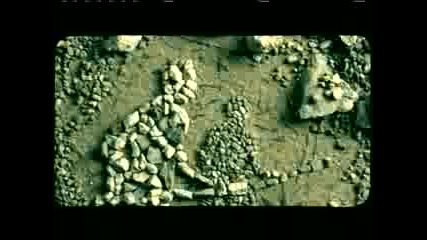 Constantines - Working Full Time 