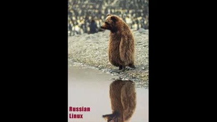Very Funny Video 