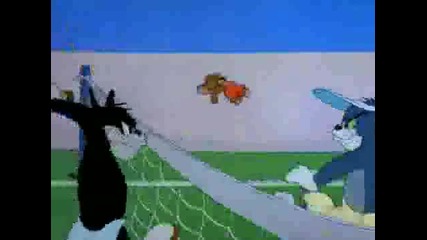 tom and jerry