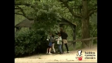 Смях ! Падащо дърво плаши хората в парка ! Скрита камера !