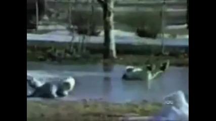 51 Best Kid Fails Barely Compilation