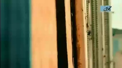 Tarkan - simarik