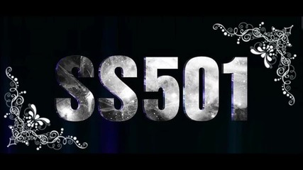 Ss501 - Existence