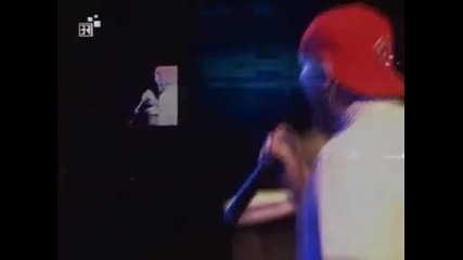 Limp Bizkit - I would for you 