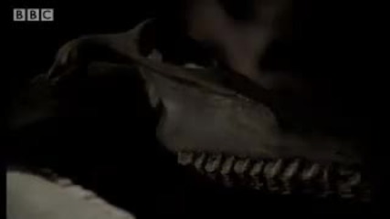 Hidden cave death trap - Wild New World - Bbc 