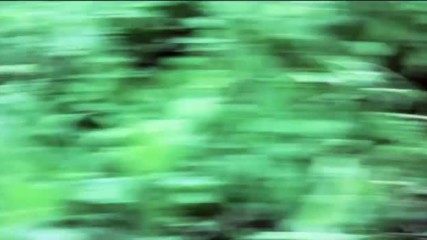 Jack and Jack - Wild Life Official Music Video