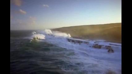 Wild Ocean 