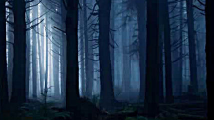 Celtic Folk Music - Shadow Star Forest Dark Magical Enchanting