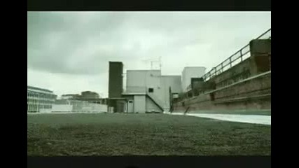 David Belle
