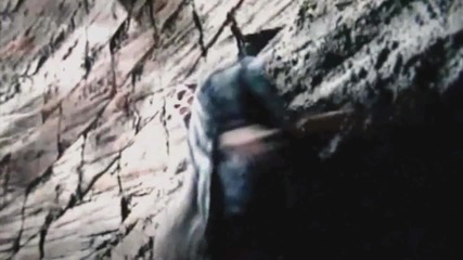 Черният Рицар: Възраждане / Брус Уейн се изкачва