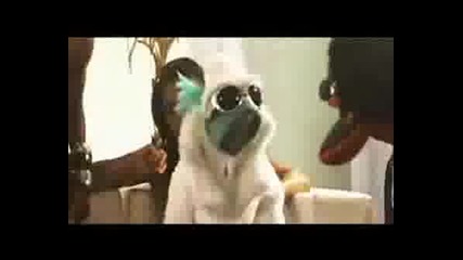 Furtv - Puppetz In Da Hood - Part 1/2