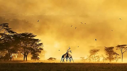 Vincent Kwok - Afrique (original Mix)