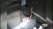Охранителна камера в асансьор заснема и разкрива собственик който рита кучето си !