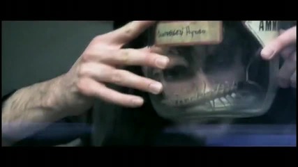 Flyleaf - I m So Sick 