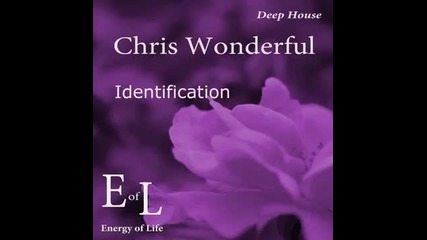Chris Wonderful Deep House 2015 New track Identification (short)