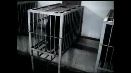 Jackie Chan psa on bear bile far