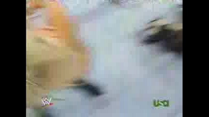 Wwe Divas