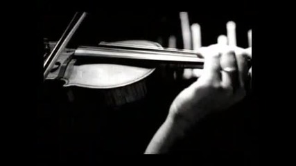 Cosi sei tu - Amedeo Minghi 