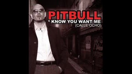 Pitbull - I know you wont me