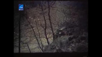 Bulgarskiat Xx vek - Prevrat, narechen Naroden sgovor E05 (2006) [bgaudio.tvrip] - Planet