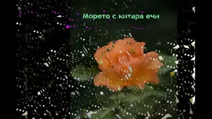 Мелодия от мечти 