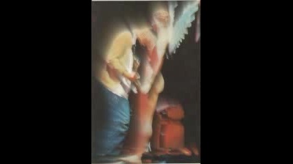 nirvana - in bloom 