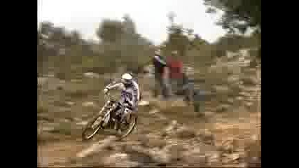 Moutan Bike