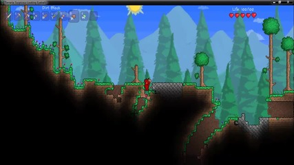 Terraria оцеляване