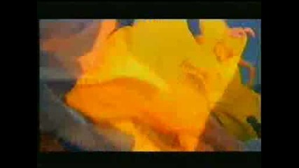 Десислава - Танц На Любовта