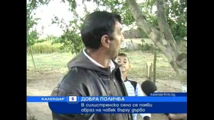 Образ на Човек върху Дърво ?!? 
