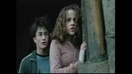 Harry potter all the things