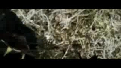 T.i. Ft. Justin Timberlake - Dead and Gone!!new Hit