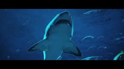 The Last Song - First Date (clip) 
