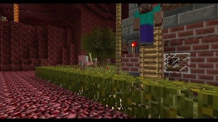 Steve vs. Steve - Ep06