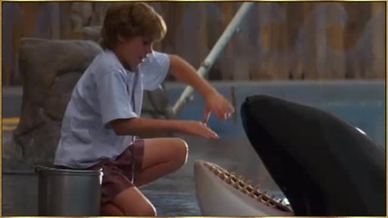 Free Willy