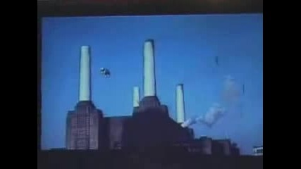 Pink Floyd Pigs On The Wing