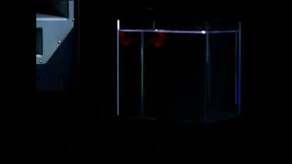 Pig & Dan - Sly Detector