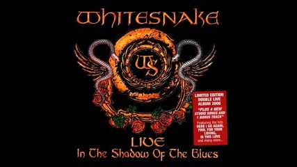 Whitesnake - All I Want Is You