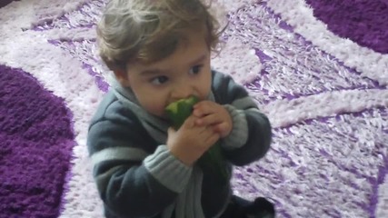 sami nova zagora 2013