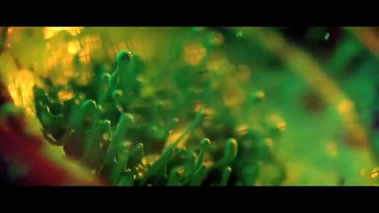 Tyga ft Wiz Khalifa ft Mally Mall - Molly