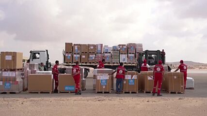 33 камиона с хуманитарна помощ са влезли в Газа в неделя