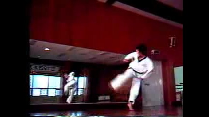 Basic Taekwon Do Kicks 2