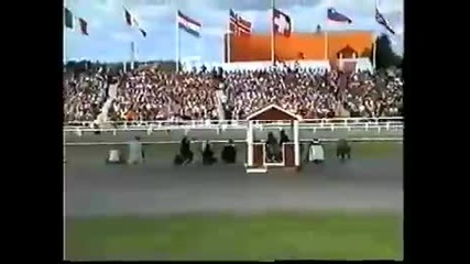 Wk 2005 V1 A-finale