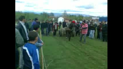 todorov den v s.razliv s kon vihar