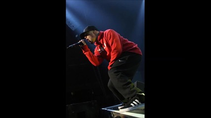 Limp Bizkit (fred Durst)