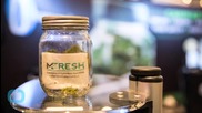 OREGON MARIJUANA FANS LOOK TO MAKE CASH WITH NEW LAWS
