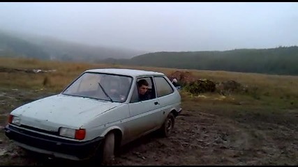 S.boshov s fiestata 