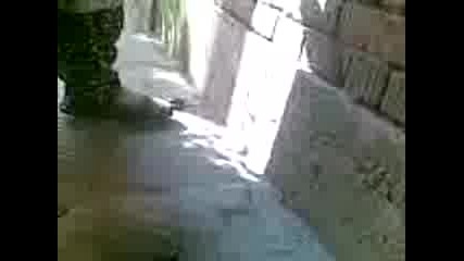 Canisi000.3gp