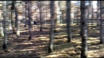 Бак на прасе